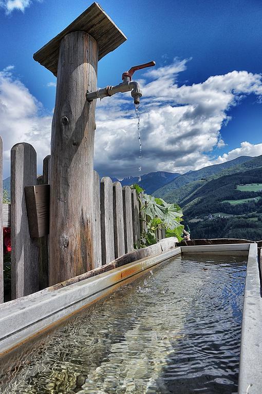 Oberhemberger Hof Daire Feldthurns Dış mekan fotoğraf