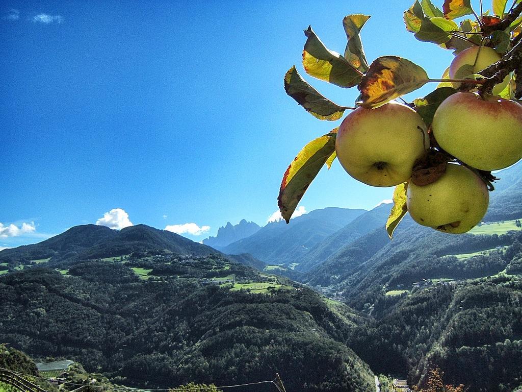 Oberhemberger Hof Daire Feldthurns Dış mekan fotoğraf